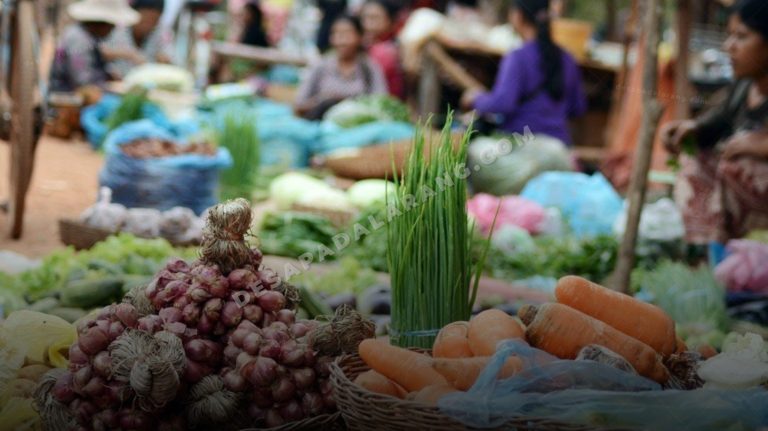 15 Peluang Usaha di Desa yang Masih Terbuka Lebar dan Menguntungkan di 2026