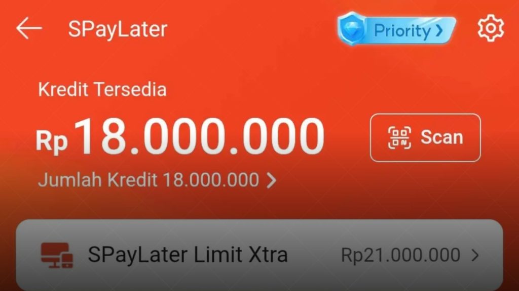 Apakah Limit Shopee PayLater Bisa Dicairkan Jadi Uang Tunai