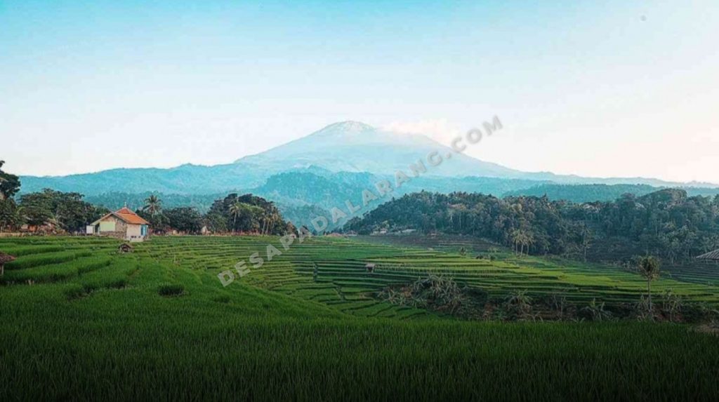 Faktor Pendorong Pertumbuhan Bisnis di Pedesaan