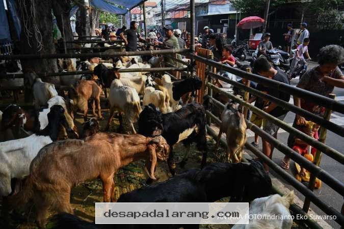 Panduan Lengkap Berkurban Via Baznas 2026 Beserta Daftar Harga Hewan Serta Ketentuannya