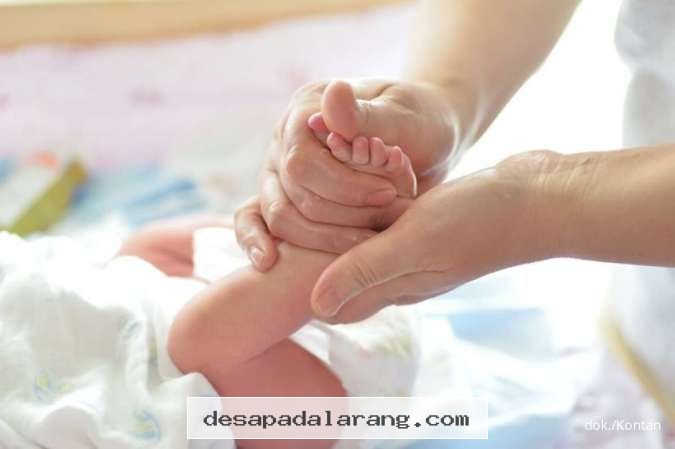 Panduan Lengkap Pendaftaran BPJS Kesehatan untuk Bayi Baru Lahir 2026 dan Syaratnya