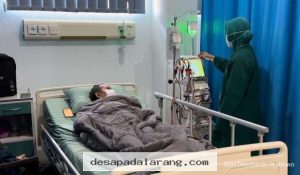 Prosedur pasang ring jantung 150 juta rupiah bisa gratis melalui layanan BPJS di 2026