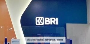 Solusi modal usaha KUR BRI 2026 cair 50 Juta dengan angsuran ringan 216 Ribu per bulan
